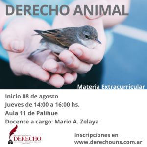 Derecho Animal